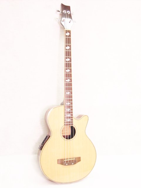 Acoustic Electric Bass