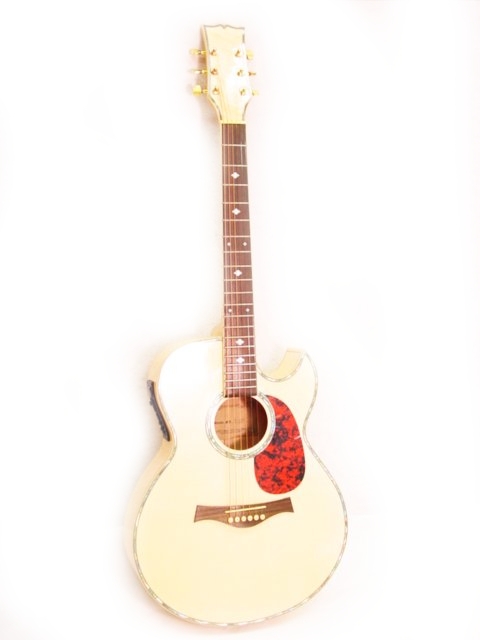 Mother of Pearl Acoustic Electric