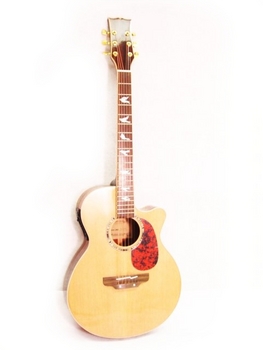 Dove Inlay Acoustic Electric